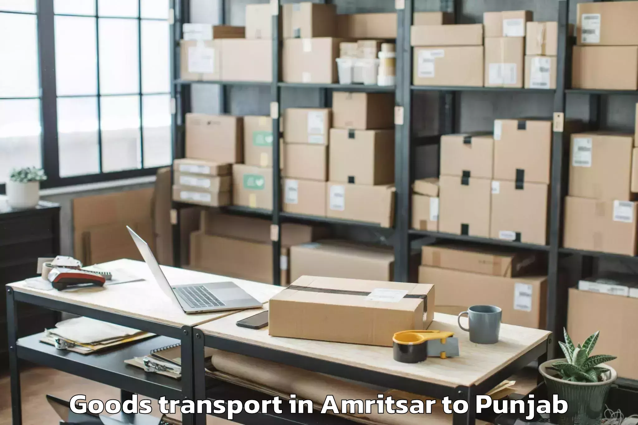 Trusted Amritsar to Banga Goods Transport